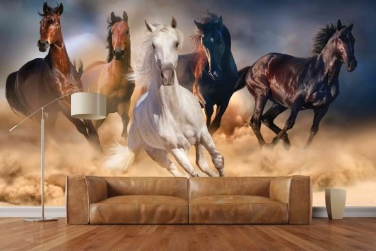 M 804 scaled The Running Horses Wallpaper The Running Horses Wallpaper