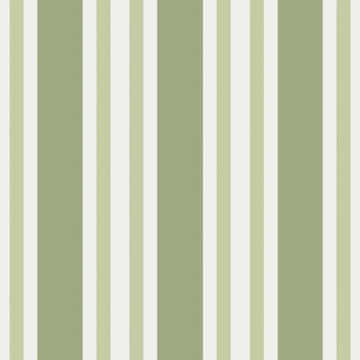 Polo Stripe - Image 7