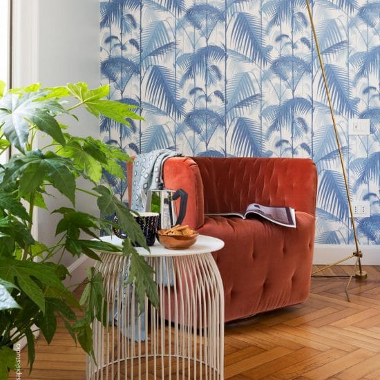 cs the contemporary collection palm jungle 95 1005 Adding a Touch of Nature: Buy Green Wallpaper for Wall Adding a Touch of Nature: Buy Green Wallpaper for Wall