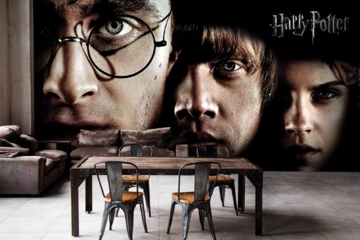 HARRY POTTER CLOSEUP WALLMURAL