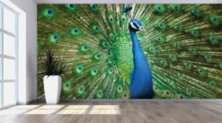 The Green Peacock Wallpaper