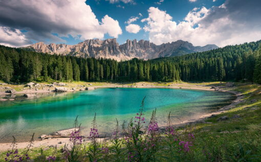 Premium Murals - Lago di Carezza - Image 2