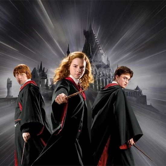 WB2087 525X280H HARRY POTTER HERMIONE'S SPELL HARRY POTTER HERMIONE'S SPELL