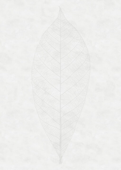 R2 012 1576842575 Decent Leaf Wallmural ( 200 x 280 cm) Decent Leaf Wallmural ( 200 x 280 cm)