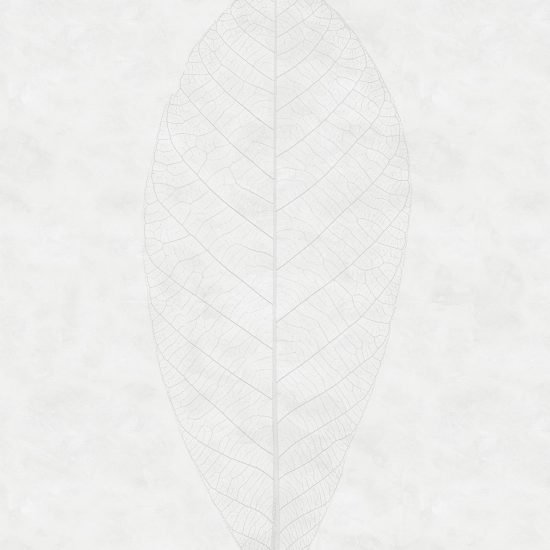 R2 012 1576842575 Decent Leaf Wallmural ( 200 x 280 cm) Decent Leaf Wallmural ( 200 x 280 cm)