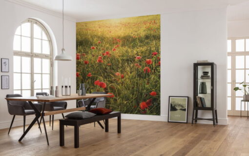 Poppy World I  Wallmural ( 250 x 280 cm)