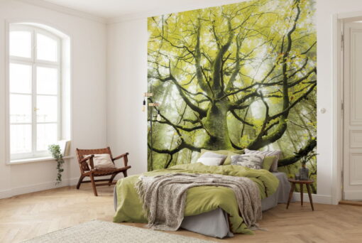 Der Traumbaum Wallmural ( 300 x 280 cm)