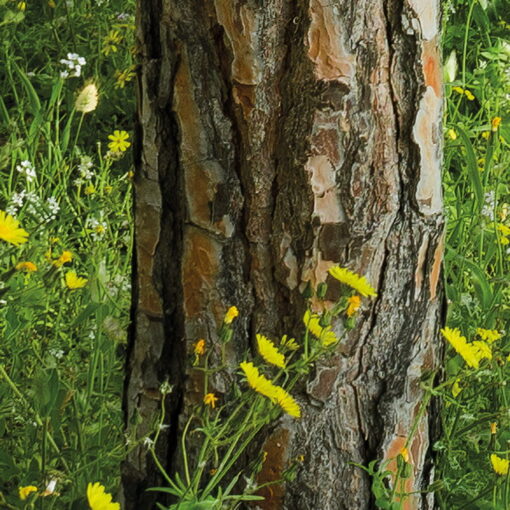 Blütenzauberwald Wallmural - Image 5