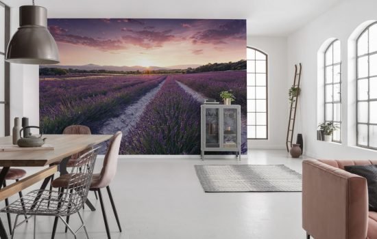 SHX9 052 i 1568286487 Lavender Dream Wallmural ( 450 x 280 cm) Lavender Dream Wallmural ( 450 x 280 cm)