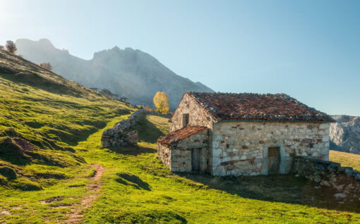 Picos de Europe Alm Wallmural ( 450 x 280 cm) - Image 2