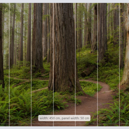 Screenshot 2020 06 21T234511.535 Redwood Trail Wallmural Redwood Trail Wallmural