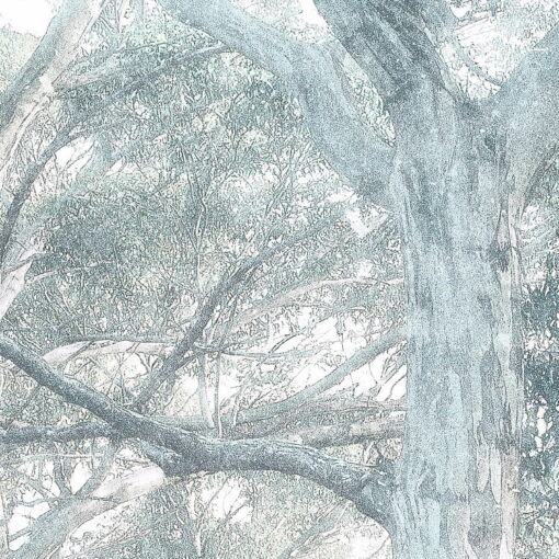 Magic Trees Wallmural ( 300 x 280 cm) - Image 4