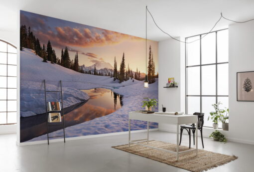 Snowy the Beautiful Wallmural ( 450 x 280 cm)