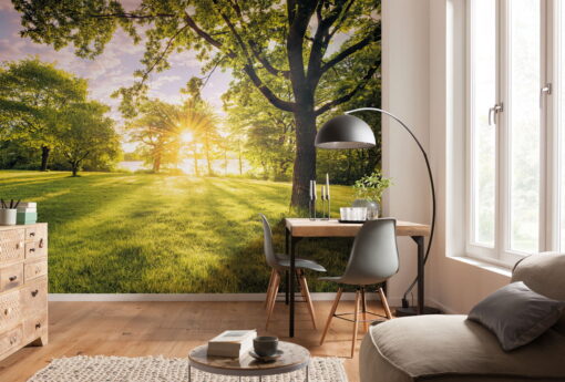 Golden Moment Wallmural ( 400 x 250 cm)