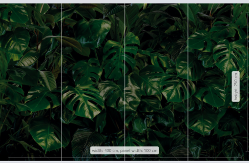 Tropical Wall Wallmural ( 400 x 250 cm) - Image 4