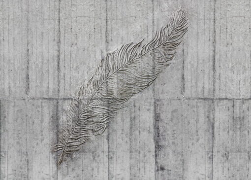 Concrete Feather Wallmural ( 350 x 250 cm) - Image 2