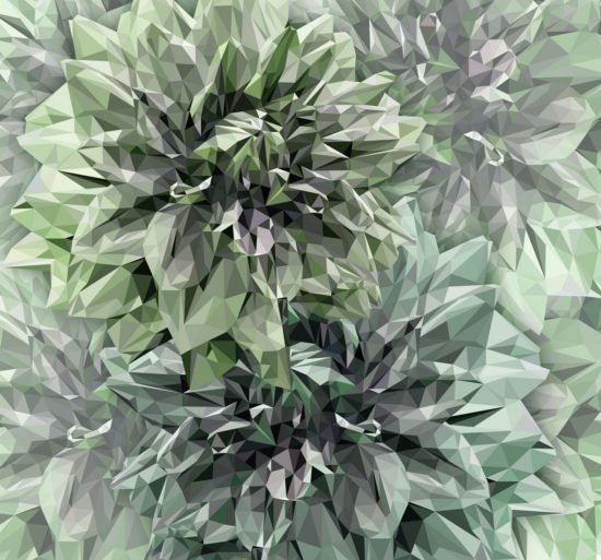 INX6 036 Emerald Flowers Wallmural (300 x 280) Emerald Flowers Wallmural (300 x 280)