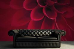 R10601 image3 Dahlia Wallmural - Premium Dahlia Wallmural - Premium