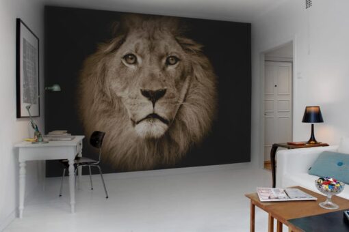 Lion Wallmural - Premium