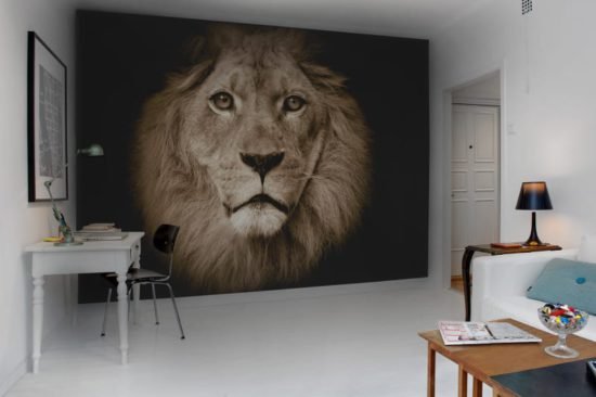 R11101 image2 Lion Wallmural - Premium Lion Wallmural - Premium