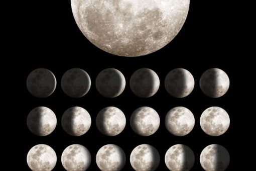 Moon Wallmural - Premium - Image 2