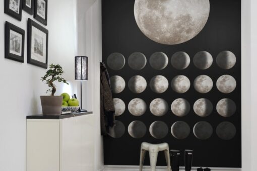 Moon Wallmural - Premium