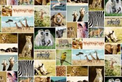 R11561 image1 Africa Wallmural - Premium Africa Wallmural - Premium