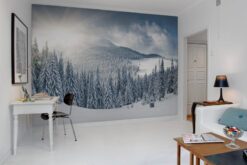 R11571 image3 Winter Wallmural - Premium Winter Wallmural - Premium