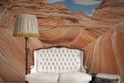 R11701 image3 Arizona Wallmural - Premium Arizona Wallmural - Premium