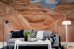 R11701 image4 Arizona Wallmural - Premium Arizona Wallmural - Premium