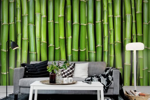 Bamboo Wallmural - Premium