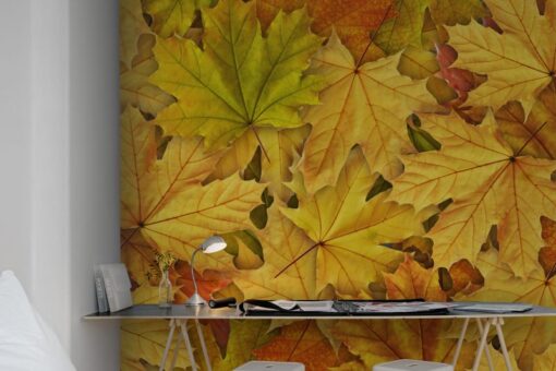 Autumn Leaves Wallmural - Premium