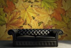 R11931 image3 Autumn Leaves Wallmural - Premium Autumn Leaves Wallmural - Premium