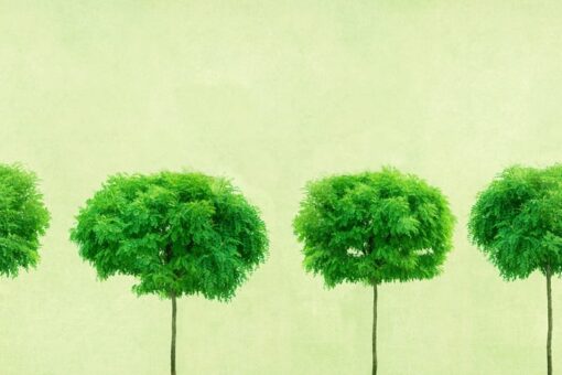 Three Trees Wallmural - Premium - Image 2