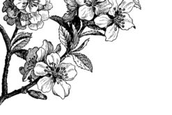 R12652 image1 Springtime, black&white Wallmural - Premium Springtime, black&white Wallmural - Premium