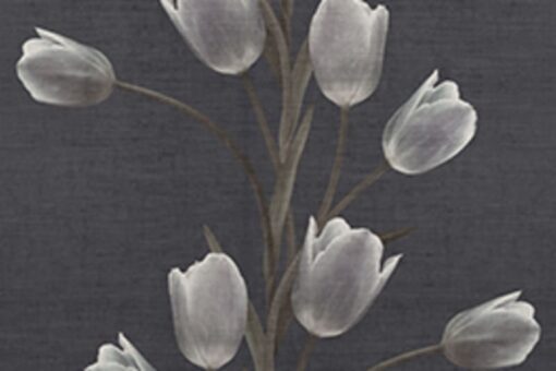 La Vie En Tulipe, Black Wallmural - Premium - Image 2