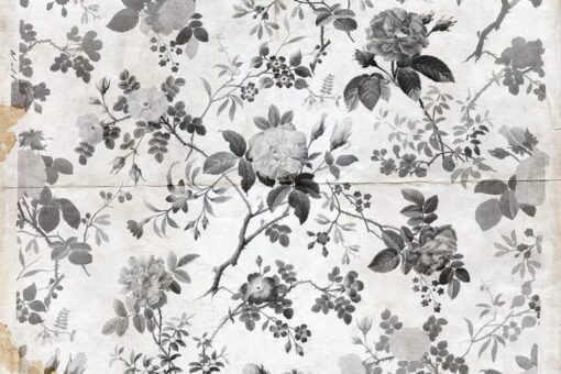 Rosegarden, Black Wallmural - Premium - Image 2