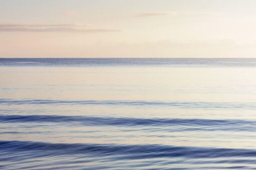 Graceful Sea Wallmural - Premium - Image 2