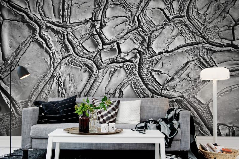 Dried Clay Wallmural – Premium | Evershine Wall