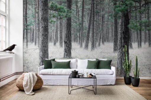 Pine Forest Wallmural - Premium