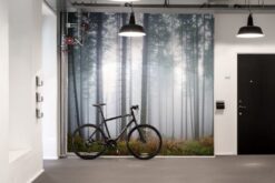 R15201 image3 Forest Glade Wallmural - Premium Forest Glade Wallmural - Premium