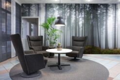 R15201 image4 Forest Glade Wallmural - Premium Forest Glade Wallmural - Premium