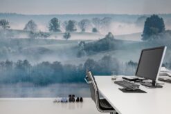 R15291 image4 Morning Haze Wallmural - Premium Morning Haze Wallmural - Premium