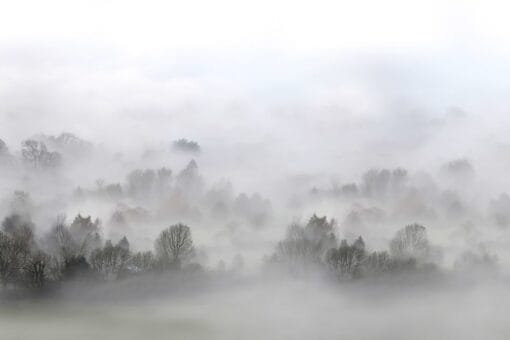 Morning Fog Wallmural - Premium - Image 2