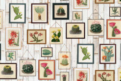 R15321 image1 Cactus Wall Art Wallmural - Premium Cactus Wall Art Wallmural - Premium