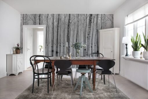 Birch Echo Wallmural - Premium