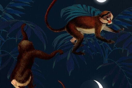 Space Monkey Wallmural - Premium - Image 7