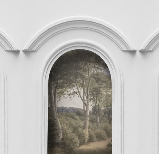 R16301 image1 Forest Vaults Wallmural - Premium Forest Vaults Wallmural - Premium