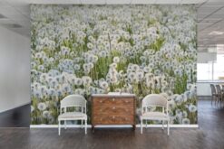 R16351 image4 Dandelions Wallmural - Premium Dandelions Wallmural - Premium