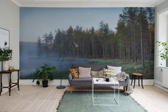 R16421 image2 Forest Lake Wallmural - Premium Forest Lake Wallmural - Premium